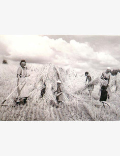 Ruispellolla Vihdissä